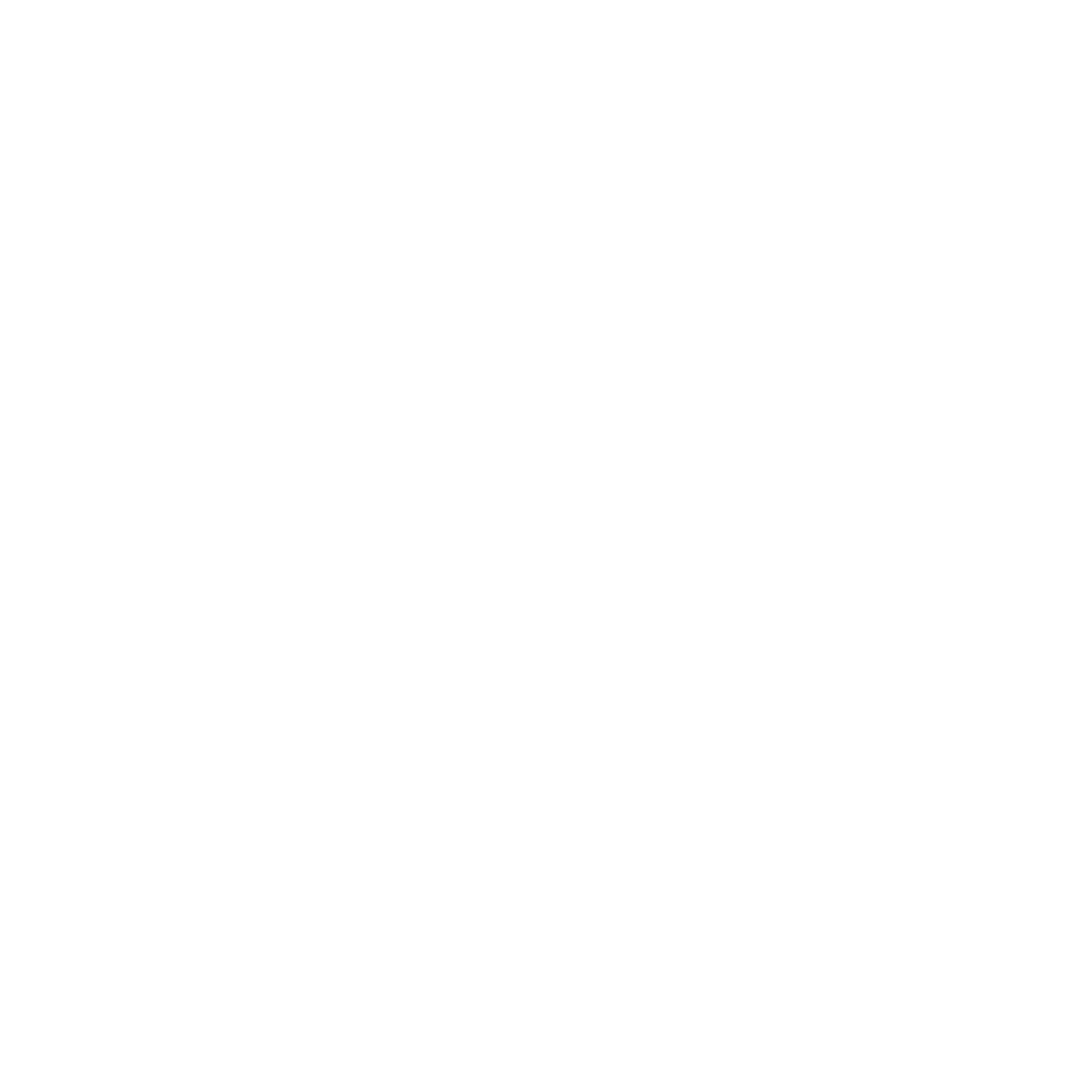 nass academy vision and mission icon